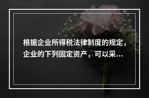 根据企业所得税法律制度的规定，企业的下列固定资产，可以采用加