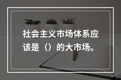 社会主义市场体系应该是（）的大市场。