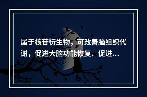 属于核苷衍生物，可改善脑组织代谢，促进大脑功能恢复、促进苏醒