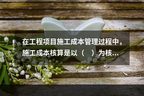 在工程项目施工成本管理过程中，施工成本核算是以（　）为核算对