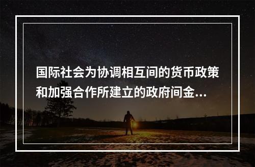 国际社会为协调相互间的货币政策和加强合作所建立的政府间金融机