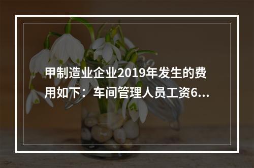 甲制造业企业2019年发生的费用如下：车间管理人员工资60万