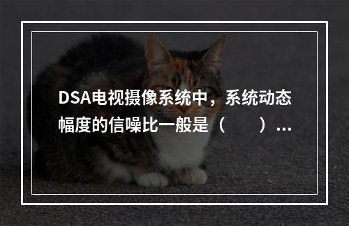 DSA电视摄像系统中，系统动态幅度的信噪比一般是（　　）。