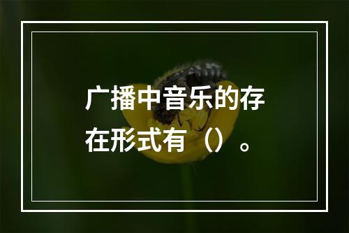 广播中音乐的存在形式有（）。