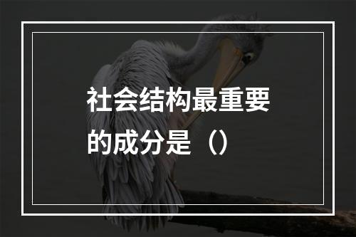 社会结构最重要的成分是（）