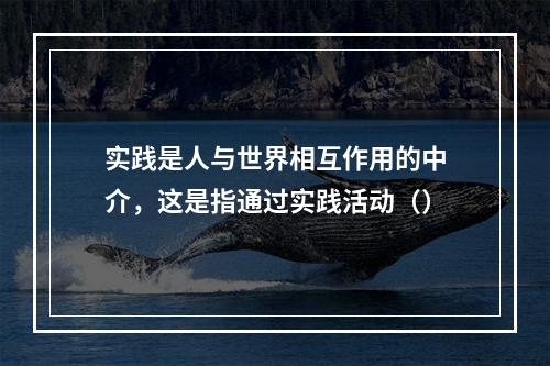 实践是人与世界相互作用的中介，这是指通过实践活动（）