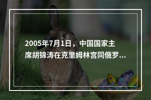 2005年7月1日，中国国家主席胡锦涛在克里姆林宫同俄罗斯联