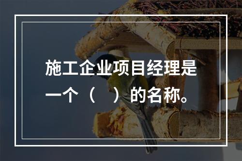 施工企业项目经理是一个（　）的名称。