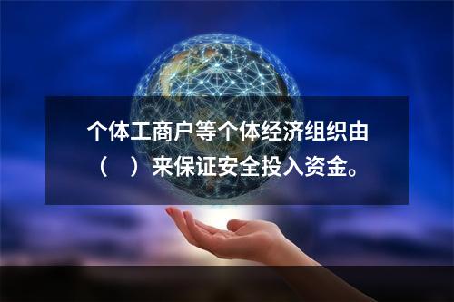 个体工商户等个体经济组织由（　）来保证安全投入资金。