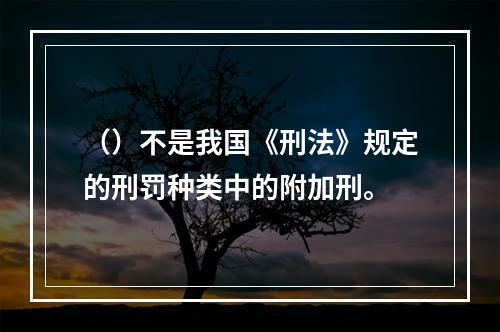 （）不是我国《刑法》规定的刑罚种类中的附加刑。