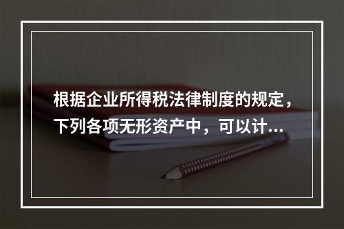 根据企业所得税法律制度的规定，下列各项无形资产中，可以计算摊