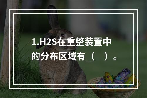 1.H2S在重整装置中的分布区域有（　）。