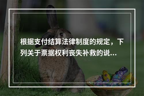 根据支付结算法律制度的规定，下列关于票据权利丧失补救的说法中