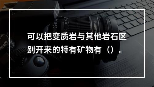 可以把变质岩与其他岩石区别开来的特有矿物有（）。