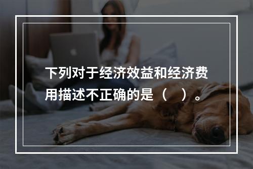 下列对于经济效益和经济费用描述不正确的是（　）。