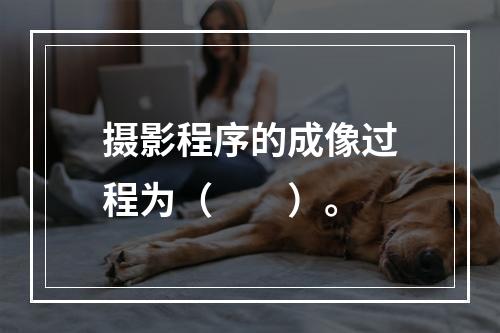 摄影程序的成像过程为（　　）。