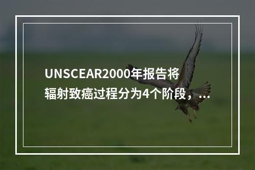 UNSCEAR2000年报告将辐射致癌过程分为4个阶段，以下