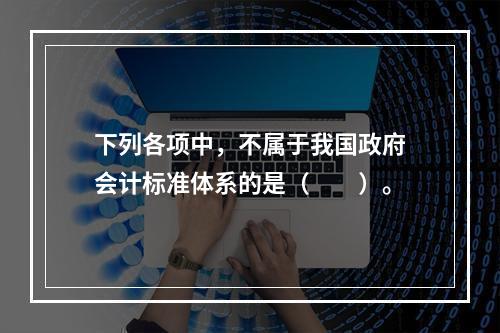 下列各项中，不属于我国政府会计标准体系的是（　　）。