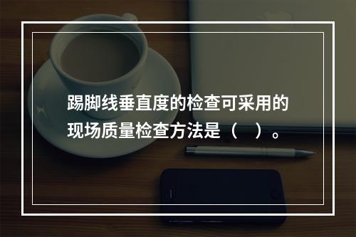 踢脚线垂直度的检查可采用的现场质量检查方法是（　）。