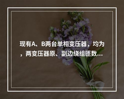 现有A、B两台单相变压器，均为，两变压器原、副边绕组匝数分