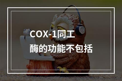 COX-1同工酶的功能不包括