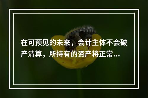 在可预见的未来，会计主体不会破产清算，所持有的资产将正常营运