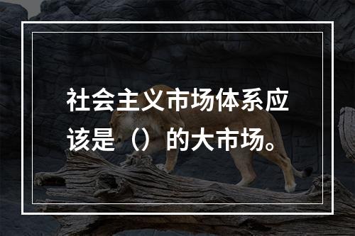 社会主义市场体系应该是（）的大市场。