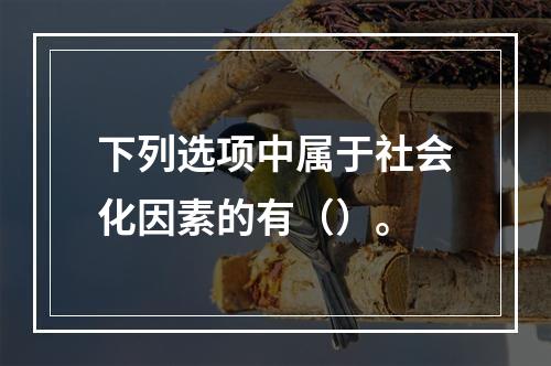 下列选项中属于社会化因素的有（）。