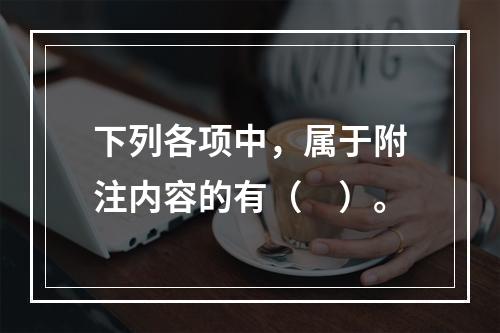 下列各项中，属于附注内容的有（　）。