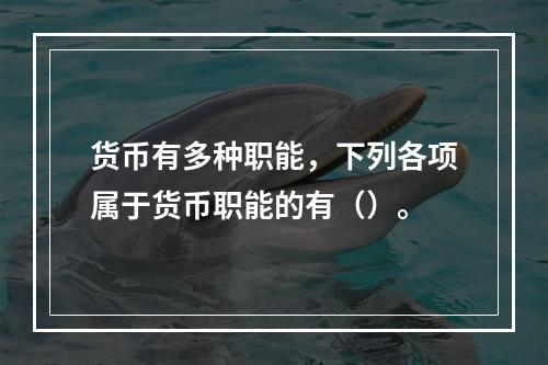 货币有多种职能，下列各项属于货币职能的有（）。