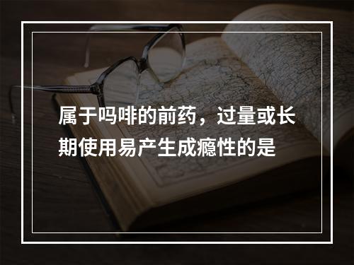 属于吗啡的前药，过量或长期使用易产生成瘾性的是