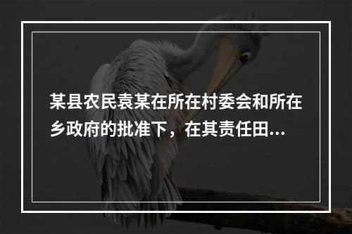 某县农民袁某在所在村委会和所在乡政府的批准下，在其责任田内建