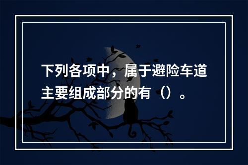 下列各项中，属于避险车道主要组成部分的有（）。