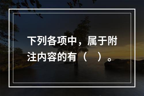 下列各项中，属于附注内容的有（　）。