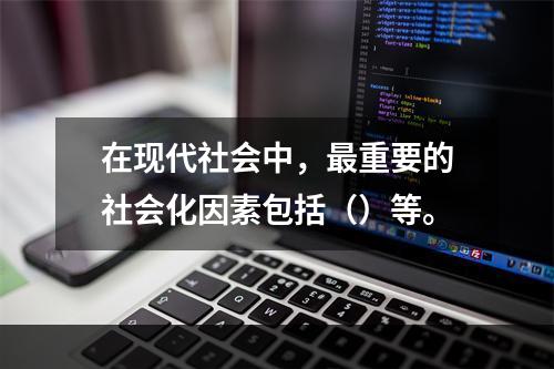 在现代社会中，最重要的社会化因素包括（）等。