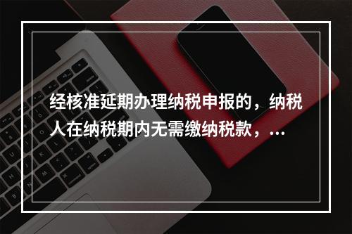 经核准延期办理纳税申报的，纳税人在纳税期内无需缴纳税款，只需