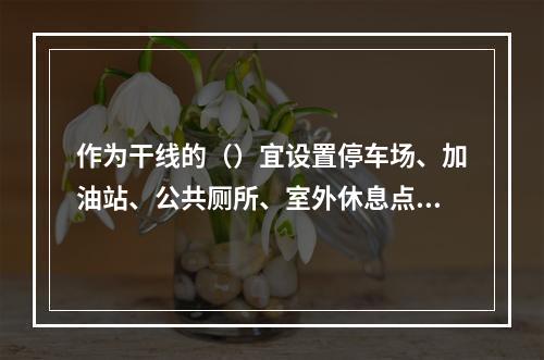 作为干线的（）宜设置停车场、加油站、公共厕所、室外休息点等设