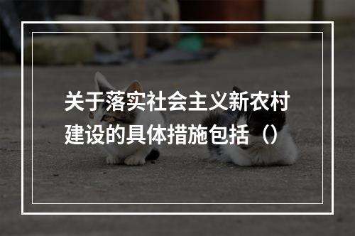 关于落实社会主义新农村建设的具体措施包括（）