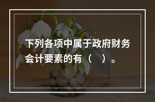 下列各项中属于政府财务会计要素的有（　）。