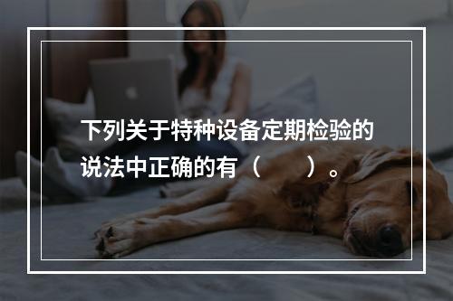 下列关于特种设备定期检验的说法中正确的有（　　）。