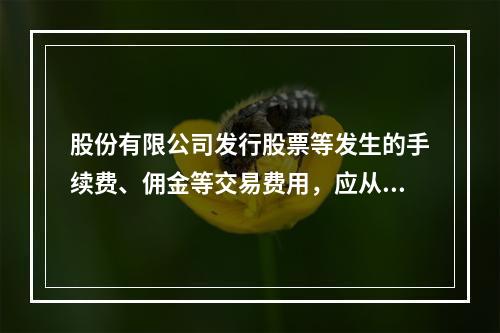 股份有限公司发行股票等发生的手续费、佣金等交易费用，应从溢价