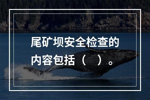 尾矿坝安全检查的内容包括（　）。