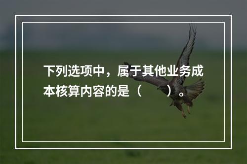 下列选项中，属于其他业务成本核算内容的是（　　）。