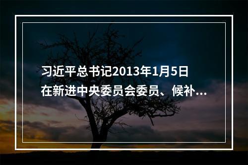 习近平总书记2013年1月5日在新进中央委员会委员、候补委员