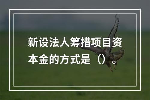 新设法人筹措项目资本金的方式是（）。