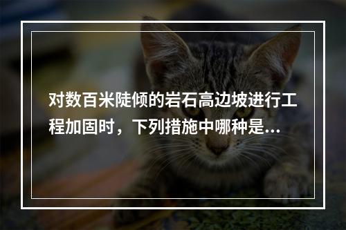 对数百米陡倾的岩石高边坡进行工程加固时，下列措施中哪种是经