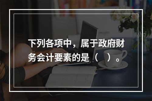 下列各项中，属于政府财务会计要素的是（　）。