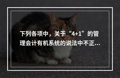 下列各项中，关于“4+1”的管理会计有机系统的说法中不正确的