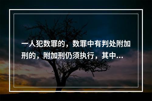 一人犯数罪的，数罪中有判处附加刑的，附加刑仍须执行，其中附加