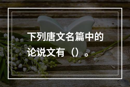 下列唐文名篇中的论说文有（）。